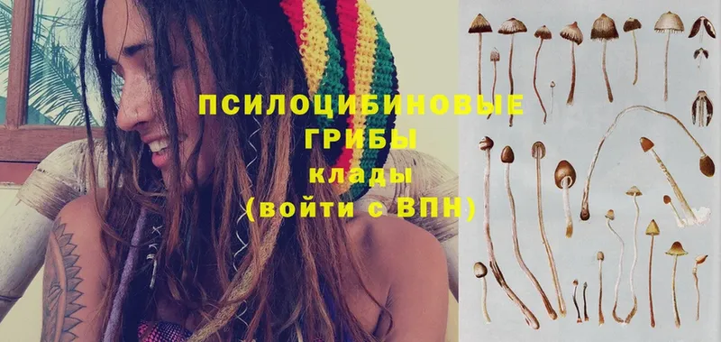 Галлюциногенные грибы Cubensis  Арсеньев 